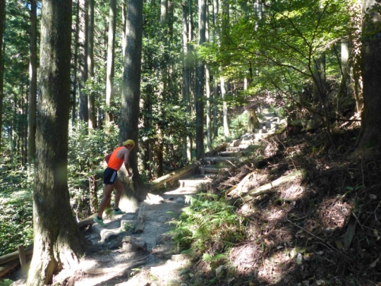 登山道